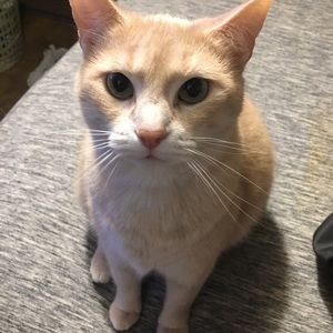 Meet your Posher, Earl